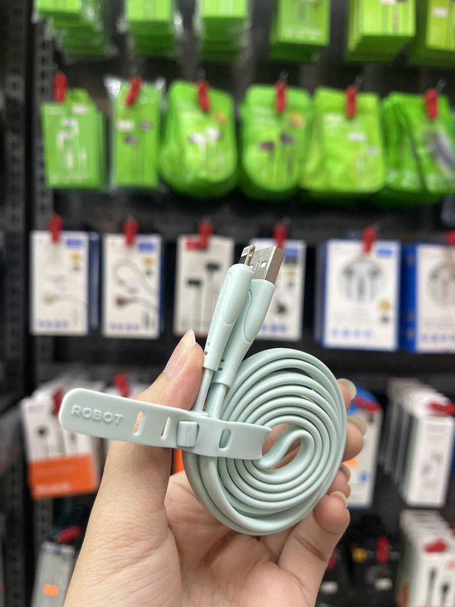 Robot RAL100 Lightning Cable