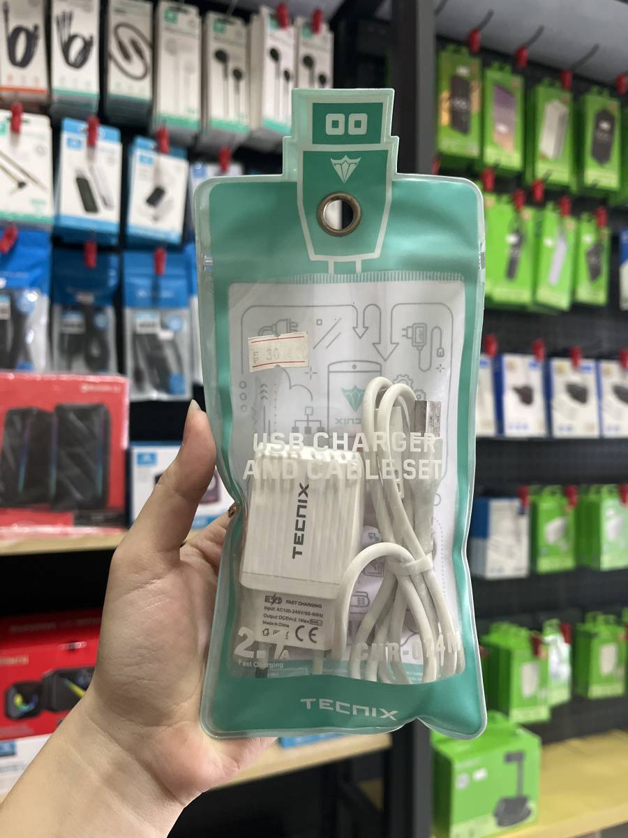 Tecnix CHR-074M Charger 2.1A With Micro Cable