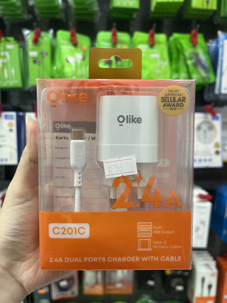 Olike C201C Dual Ports Charger With Type C Cable White